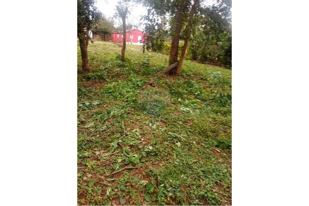 Residential - Land - Paraguay San Pedro Liberación - PY - WhatsApp Image 2025-06-30 at 18.37.54.jpeg - 143050178-2