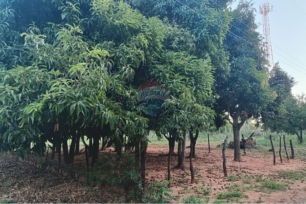 Terreno - Venta - Paraguay Central Aregua - WhatsApp Image 2025-02-06 at 4.43.50 PM (1).jpeg - 143095028-5