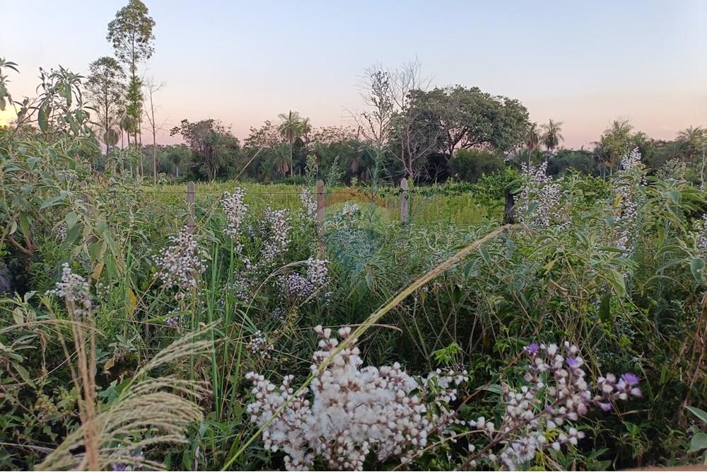 Terreno - Venta - Paraguay Central Aregua - WhatsApp Image 2025-02-07 at 6.46.12 PM.jpeg - 143095028-9