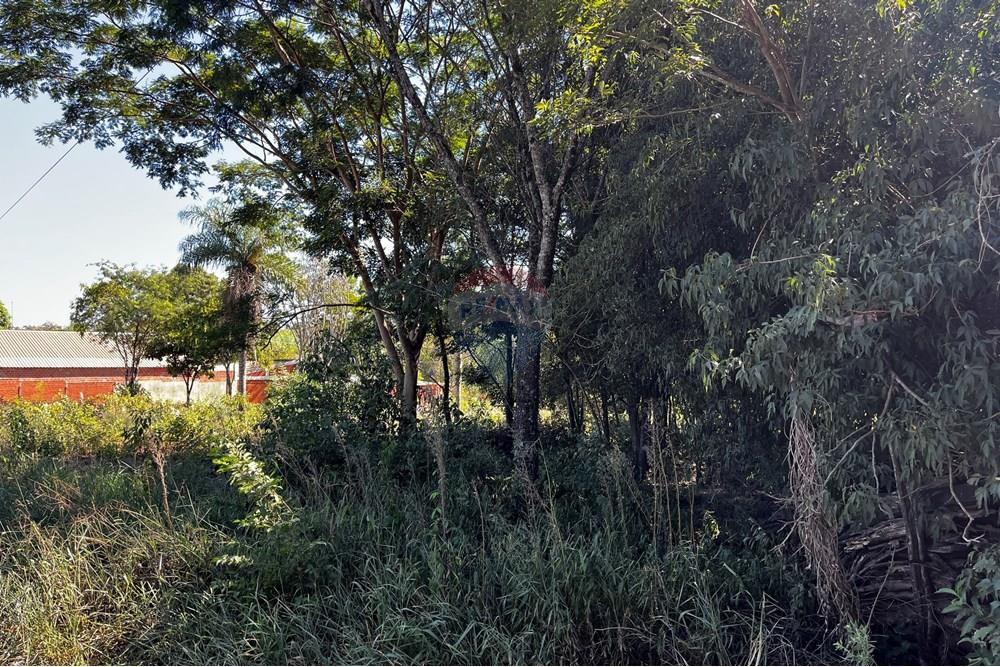 住宅 - 土地 - 巴拉圭 Itapúa Encarnación - PY - IMG_2067.jpg - 143011095-9