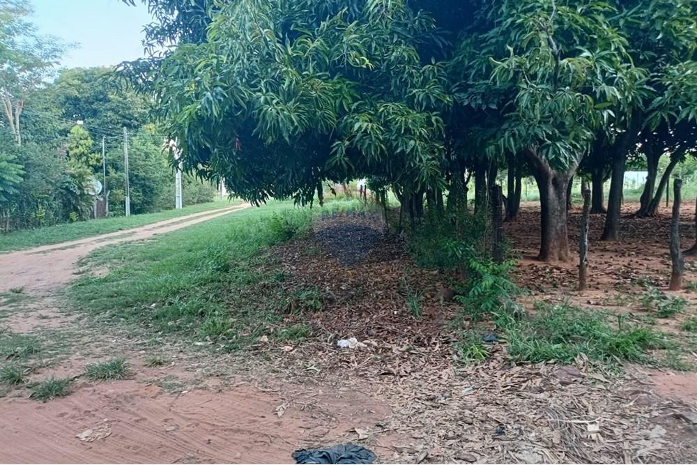 Terreno - Venta - Paraguay Central Aregua - WhatsApp Image 2025-02-06 at 4.43.49 PM (1).jpeg - 143095028-5