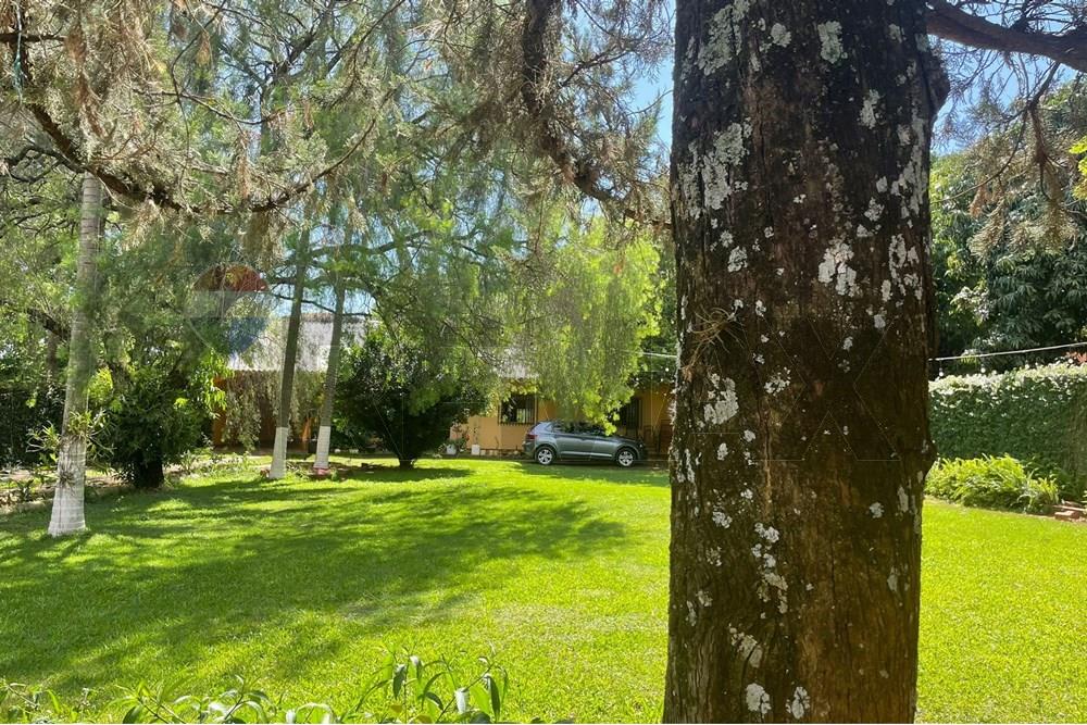 Residential - House - Paraguay Alto Paraná Hernandarias - PY - WhatsApp Image 2025-10-27 at 11.15.20 AM.jpeg - 143050087-83