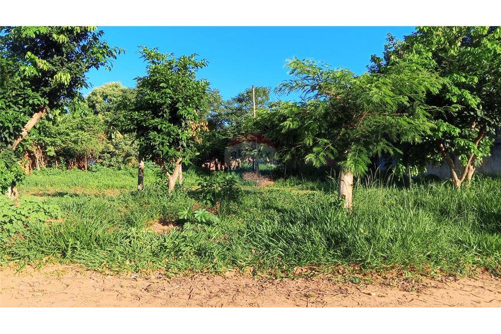 Terreno - Venta - Paraguay Central Capiata - 20 - 143026092-49