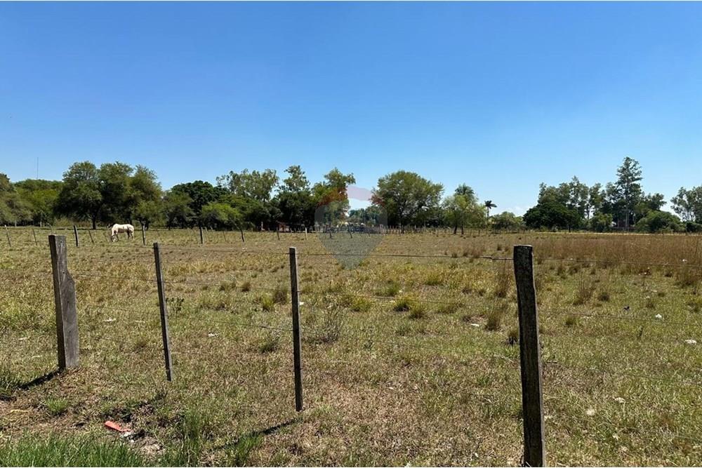 Terreno - Venta - Paraguay Cordillera Caraguatay - WhatsApp Image 2025-02-03 at 12.55.13.jpeg - 143095022-15