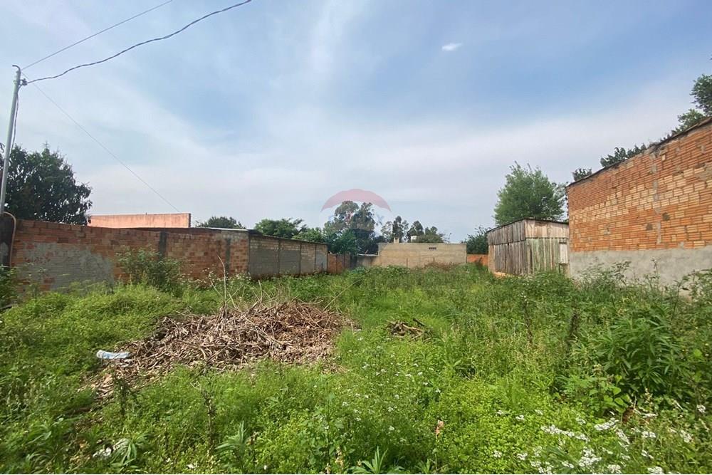 Residential - Lahan - Paraguay Alto Paraná Minga Guazú - PY - WhatsApp Image 2025-09-19 at 15.41.30.jpeg - 143050129-54