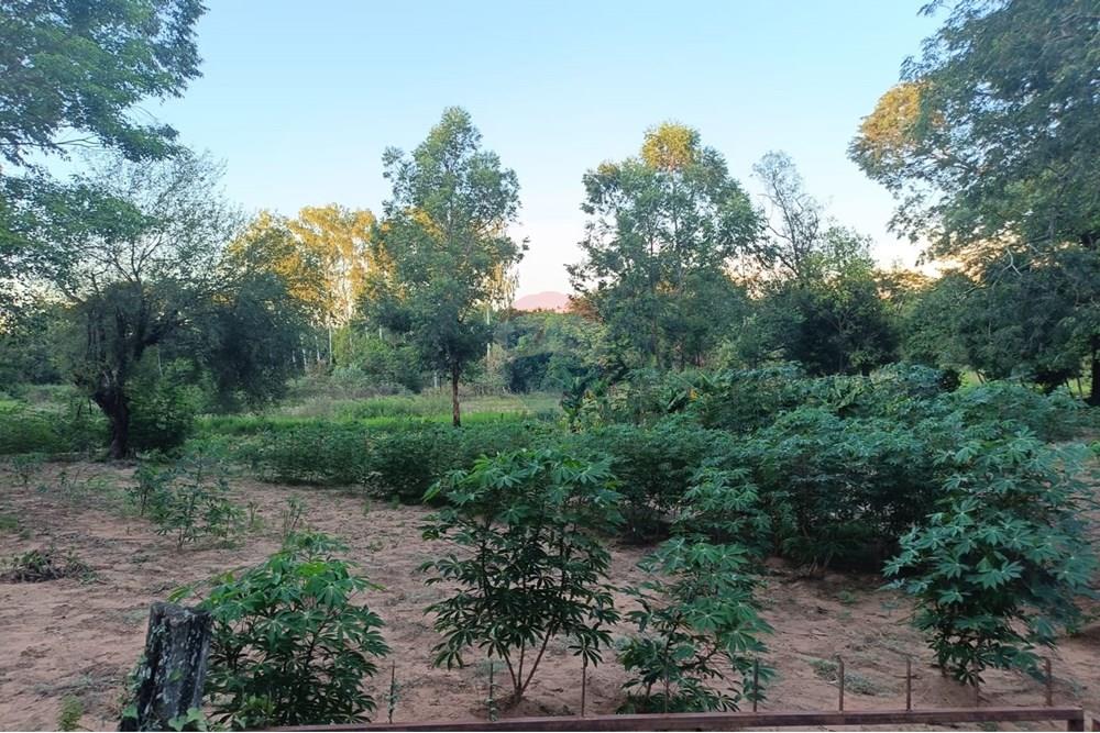 Terreno - Venta - Paraguay Central Aregua - WhatsApp Image 2025-02-07 at 9.06.04 AM (2).jpeg - 143095028-7