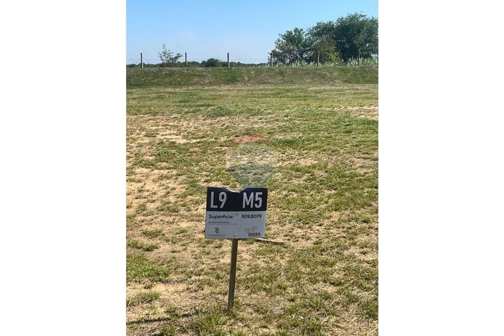 Residential - Land - Paraguay Ñeembucú Itá Corá - PY - WhatsApp Image 2025-04-23 at 7.05.43 PM.jpeg - 143050132-25