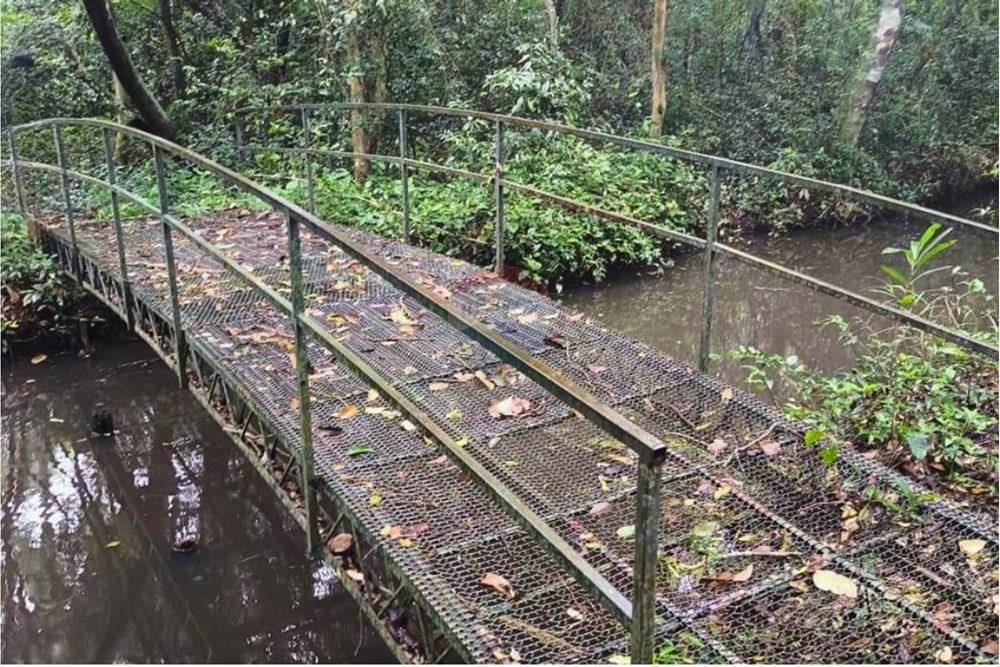 Residential - Jord - Paraguay Caaguazú Coronel Oviedo - PY - 7.jpg - 143063128-220