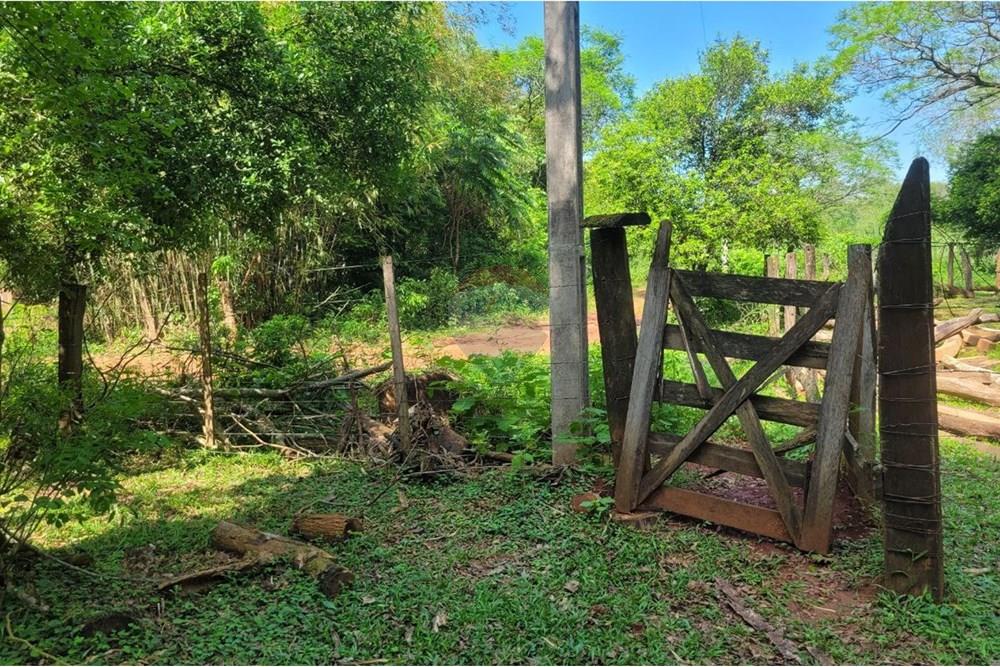Finca Agrícola - Venta - Paraguay Caazapá San Juan Nepomuceno - 15.jpg - 143095004-90