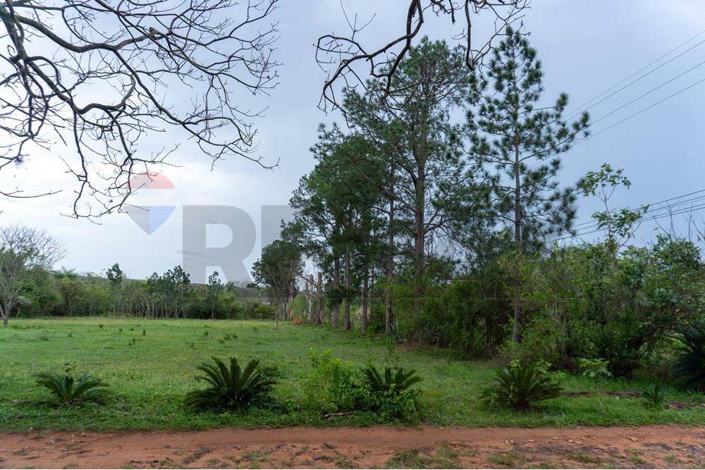 Commercial - Agricultural Farm - Paraguay Cordillera Itacurubí De La Cordillera - PY - FOTO1 (38 de 42).jpg - 143050097-75