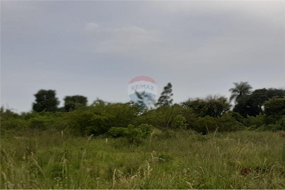 Residential - भूमि - Paraguay Itapúa Cambyretá - PY - 1 - 143026192-19