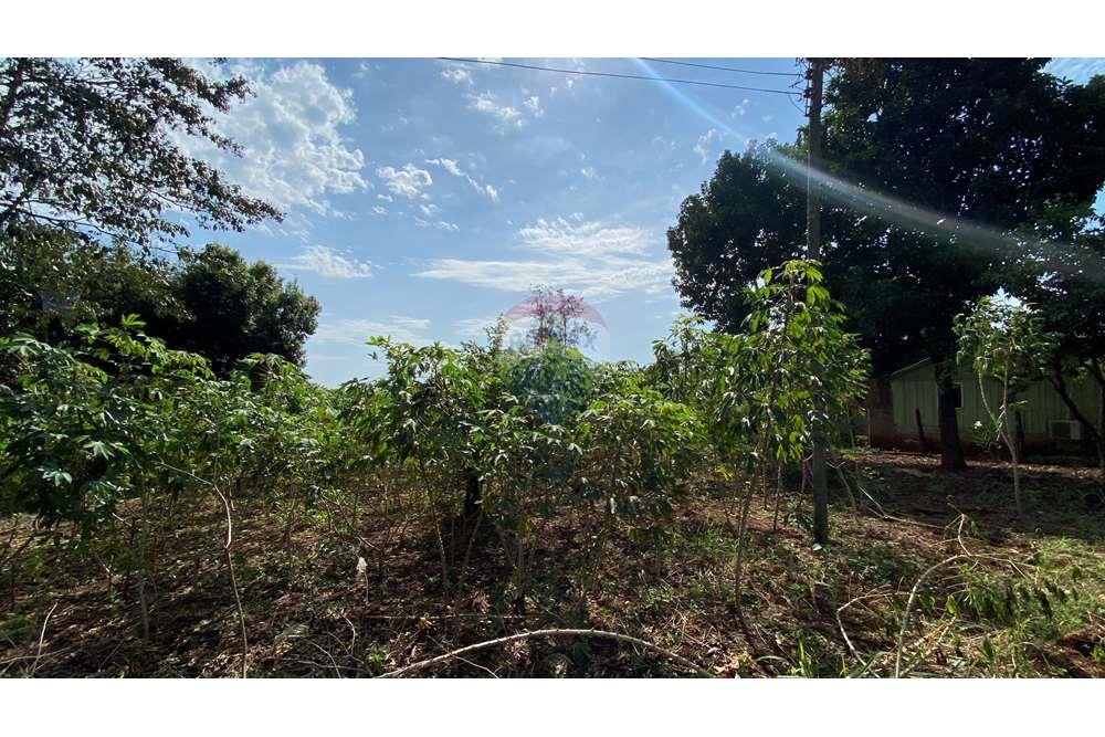 Residential - Jord - Paraguay Alto Paraná Minga Guazú - PY - IMG_6916.jpeg - 143050066-59