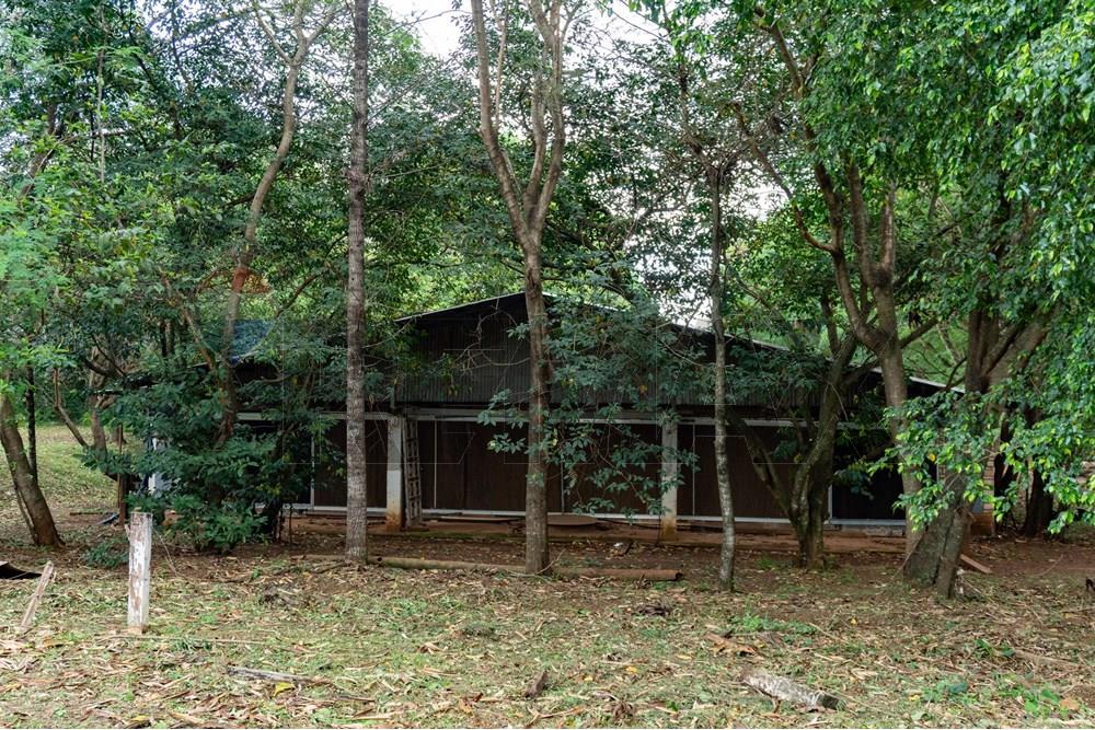 Commercial - Agricultural Farm - Paraguay Cordillera Itacurubí De La Cordillera - PY - FOTO1 (4 de 42).jpg - 143050097-75