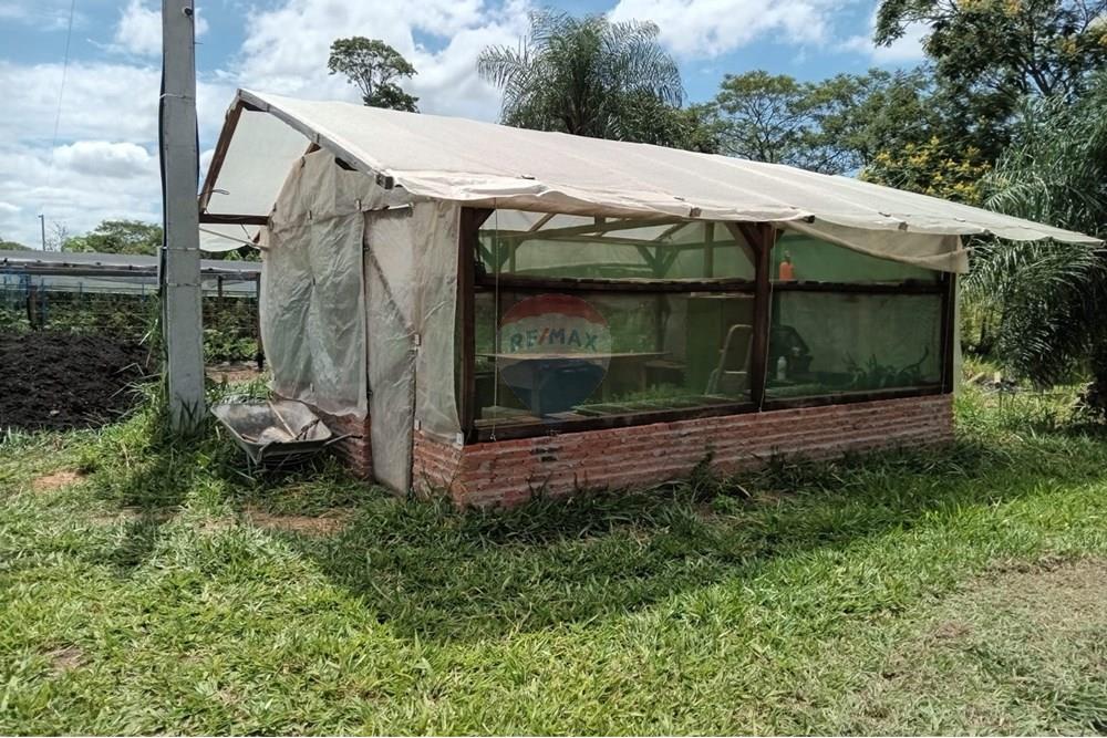 Commercial - Farm - Paraguay Guairá Natalicio Talavera - PY - 1 (10).jpg - 143050155-14