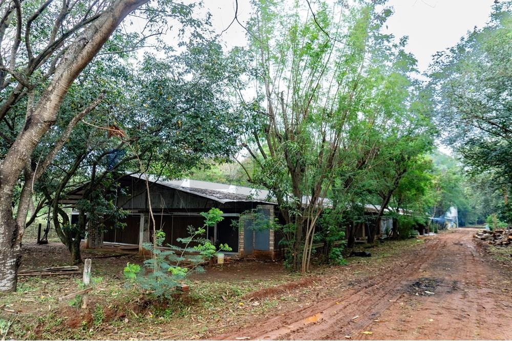 Commercial - Agricultural Farm - Paraguay Cordillera Itacurubí De La Cordillera - PY - FOTO1 (5 de 42).jpg - 143050097-75