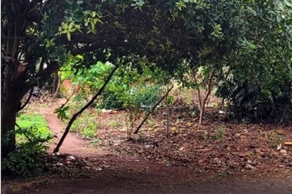 Gyvenamasis - Žemės sklypas - Paragvajus Alto Paraná Ciudad Del Este - PY - foto 1.jpeg - 143094036-28