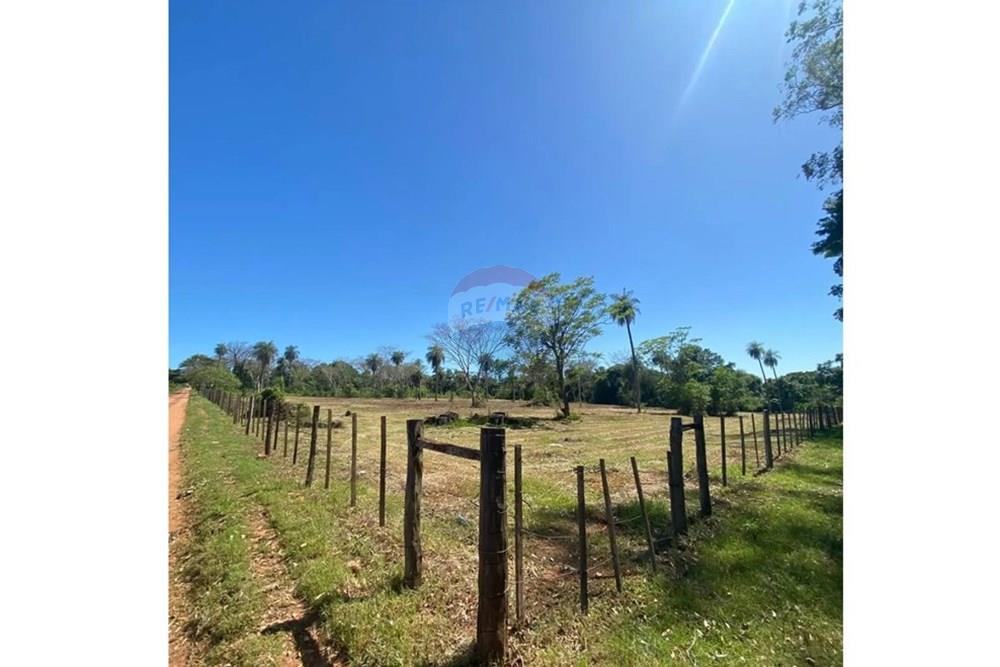 住宅 - 土地 - 巴拉圭 Cordillera Caacupé - PY - WhatsApp Image 2024-12-13 at 3.48.57 PM (1).jpeg - 143094021-70