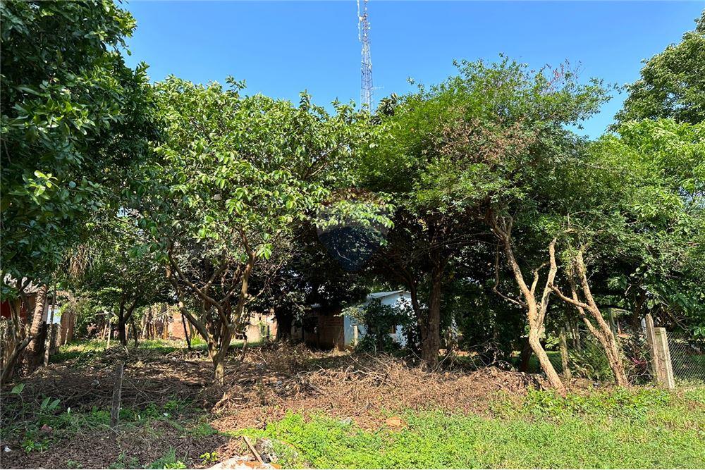 Residential - Land - Paraguay Alto Paraná Hernandarias - PY - 5 - 143050002-226