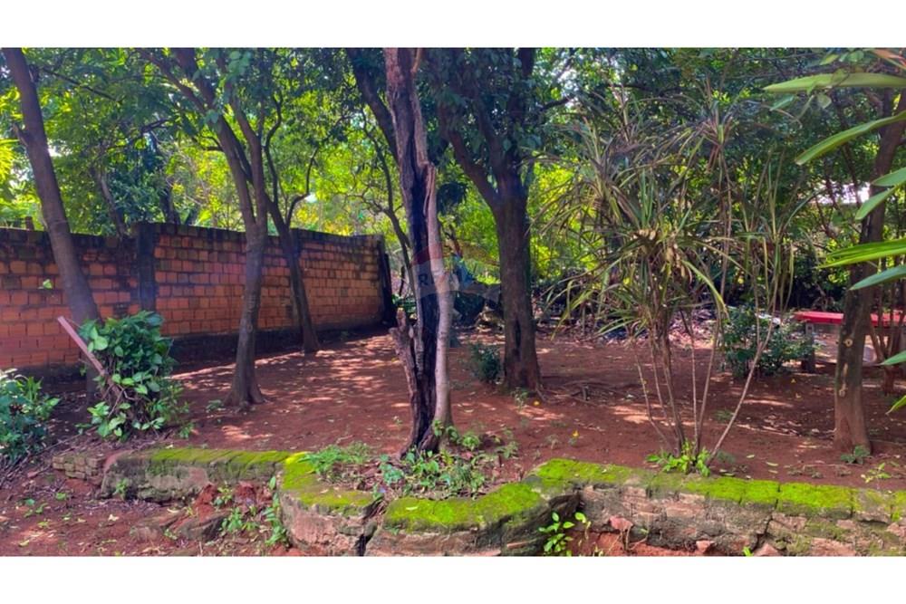 Жилищен - Поземлен имот - Парагвай Central San Lorenzo - PY - ea15c110-c9a7-4cbc-8f43-83ad3e60e9a9.jpeg - 143080161-6