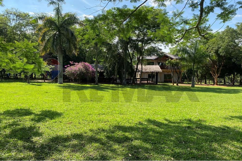 Commercieel - Boerderij - Paraguay Caaguazú Coronel Oviedo - PY - IMG_8283.jpeg - 143050100-33