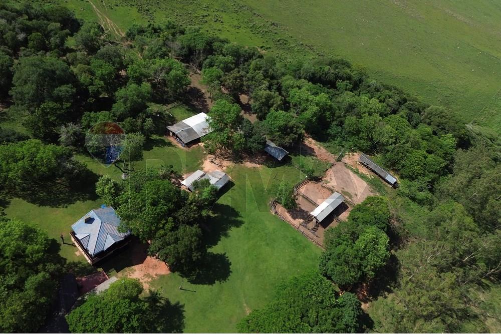 Commercieel - Boerderij - Paraguay Caaguazú Coronel Oviedo - PY - DJI_0646.JPG - 143050100-33