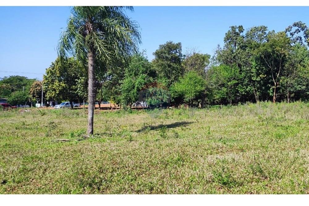 Terreno - Venta - Paraguay Central Itá - WhatsApp Image 2025-08-22 at 15.46.11.jpeg - 143095011-39