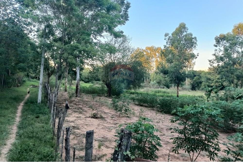 Terreno - Venta - Paraguay Central Aregua - WhatsApp Image 2025-02-07 at 9.06.04 AM (1).jpeg - 143095028-8