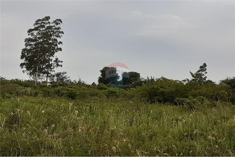 Residential - भूमि - Paraguay Itapúa Cambyretá - PY - 2 - 143026192-19