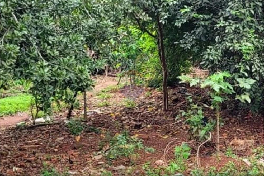 Gyvenamasis - Žemės sklypas - Paragvajus Alto Paraná Ciudad Del Este - PY - foto 2.jpeg - 143094036-28