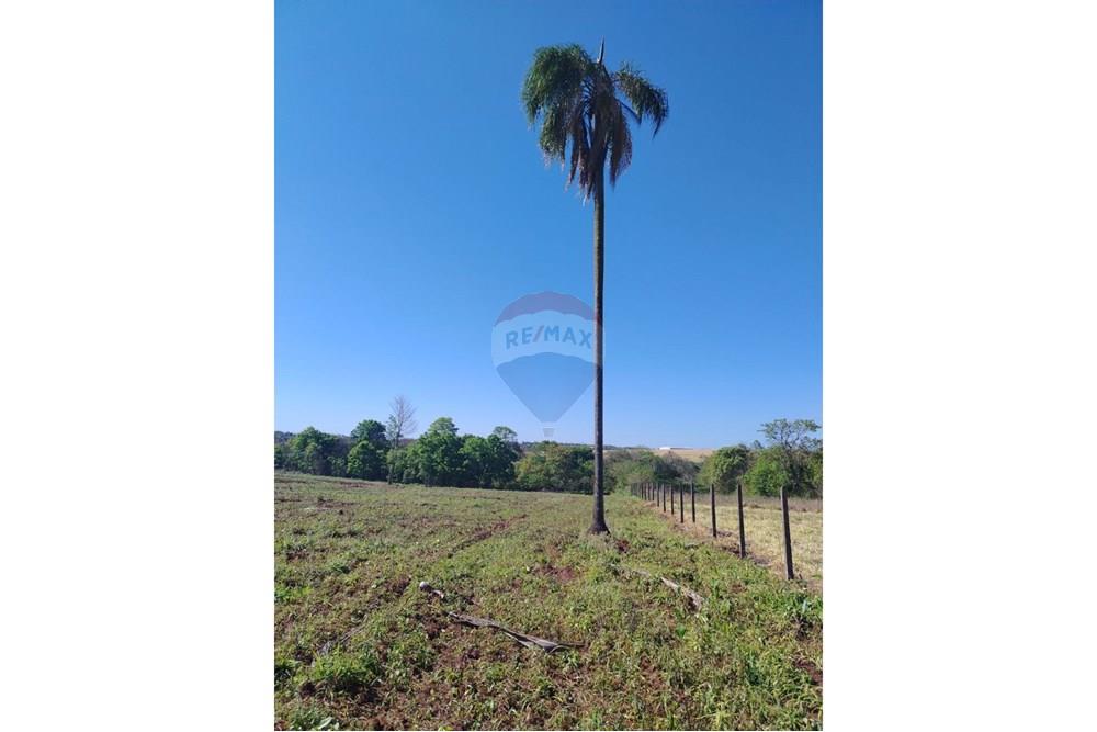 Commercial - Farm for Agriculture - Paraguay Alto Paraná Ciudad Del Este - PY - IMG_20251007_133348_032.jpg - 143050060-305