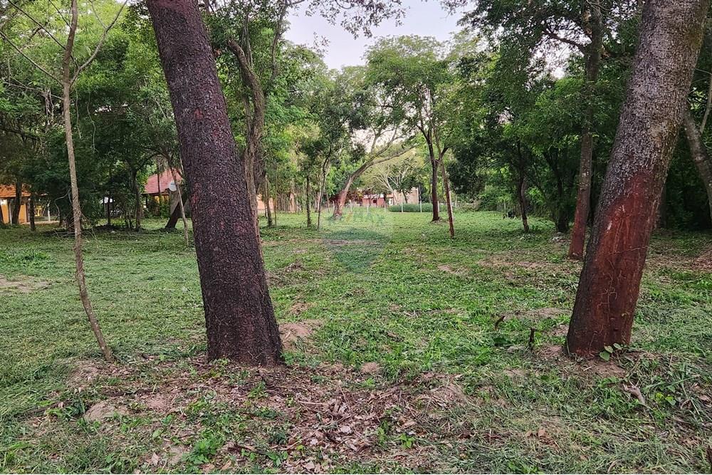 Residential - Maa - Paraguay Cordillera San Bernardino - PY - Imagen de WhatsApp 2025-09-08 a las 12.57.59_df2ac24c.jpg - 143085019-513