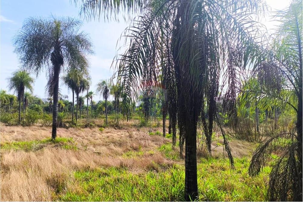 Residential - Jord - Paraguay Caaguazú Coronel Oviedo - PY - 4.jpg - 143063128-220