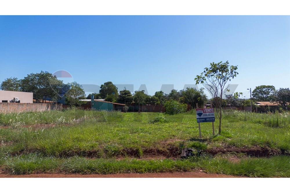 Residential - Land - Paraguay Alto Paraná Hernandarias - PY - WhatsApp Image 2025-12-02 at 5.19.51 PM (2).jpeg - 143050087-85