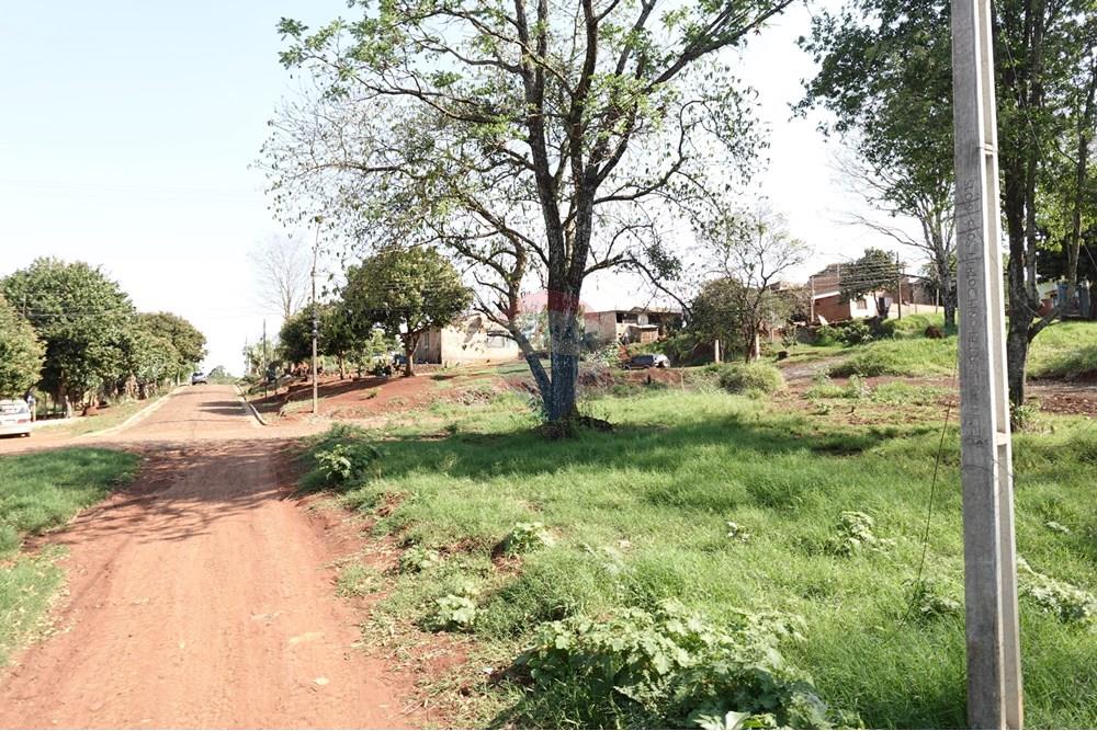 Residential - Land - Paraguay Alto Paraná Minga Guazú - PY - DSC00334.JPG - 143050081-118