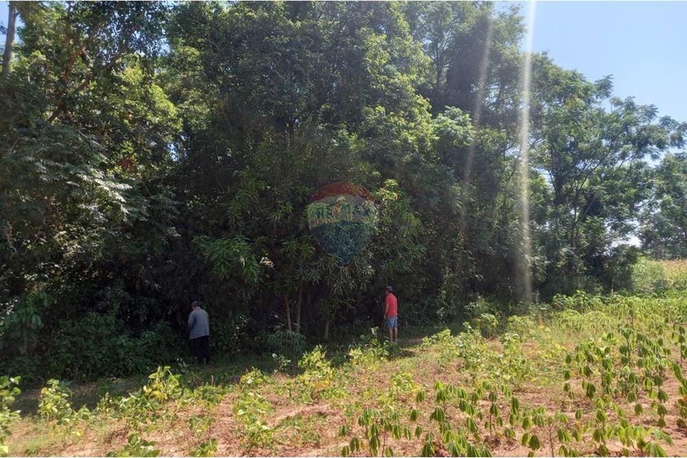 Finca Agrícola - Venta - Paraguay Caazapá Caazapá - photo_2025-01-13_11-22-55.jpg - 143095004-71