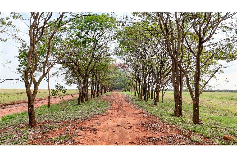 Residential - Agricultural Homestead - Paragvaj San Pedro Nueva Germania - PY - 21 - 143098052-22