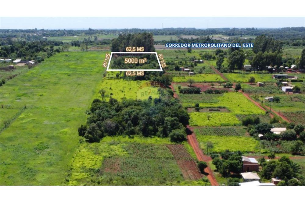 Elamine - Kinnistu - Paraguay Alto Paraná Minga Guazú - PY - 3 - 143050095-30