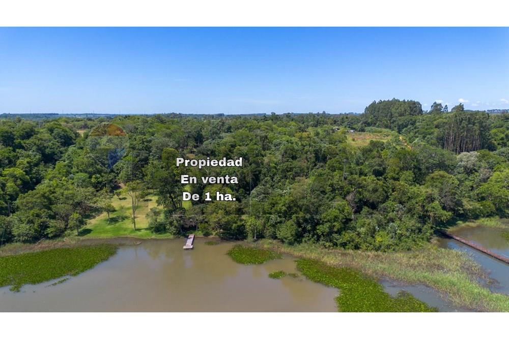 Residential - Land - Paraguay Alto Paraná Hernandarias - PY - WhatsApp Image 2025-12-02 at 4.45.08 PM.jpeg - 143050087-87