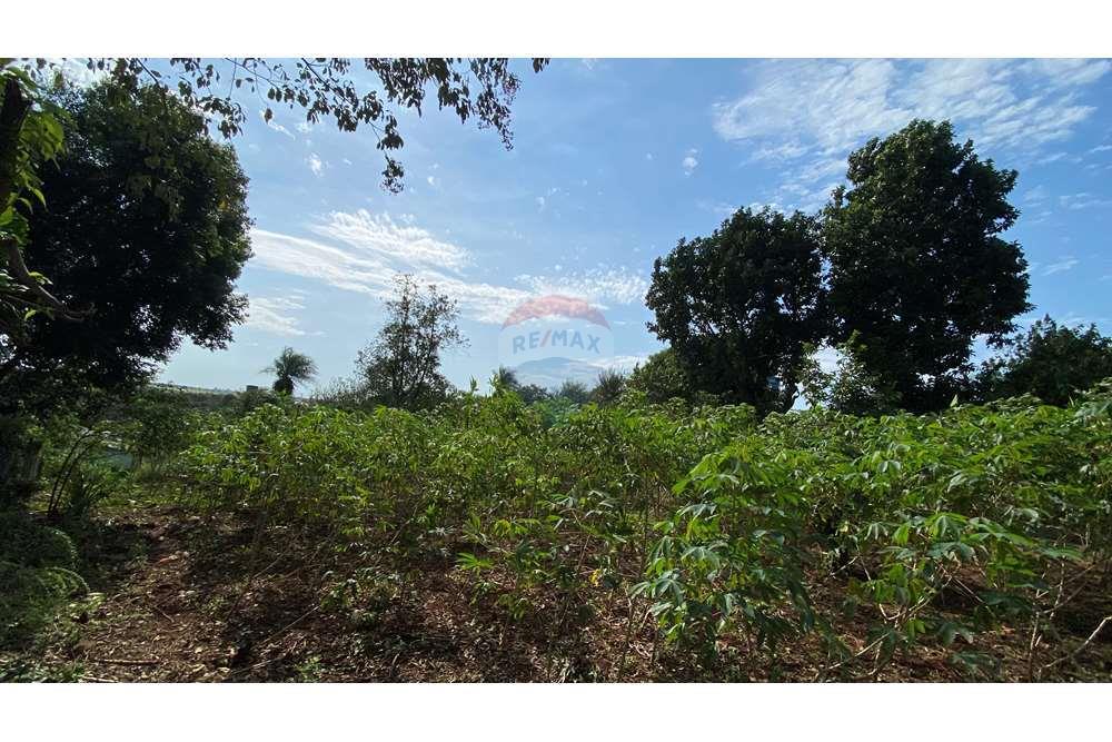Residential - Jord - Paraguay Alto Paraná Minga Guazú - PY - IMG_6919.jpeg - 143050066-59