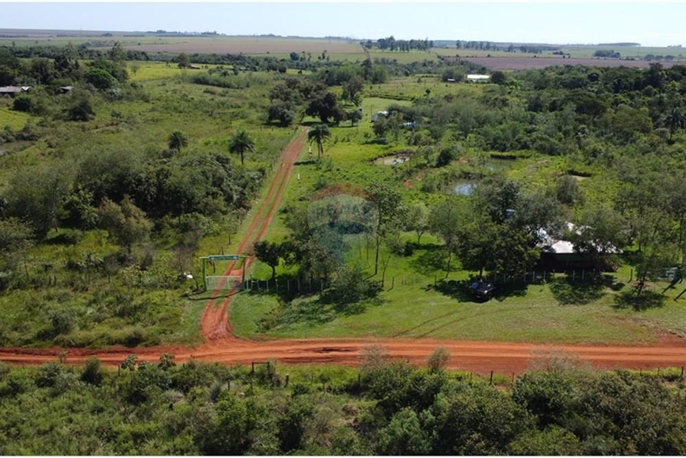 Commercial - Farm - Paraguay Alto Paraná Hernandarias - PY - DJI_0951.JPG - 143050154-21