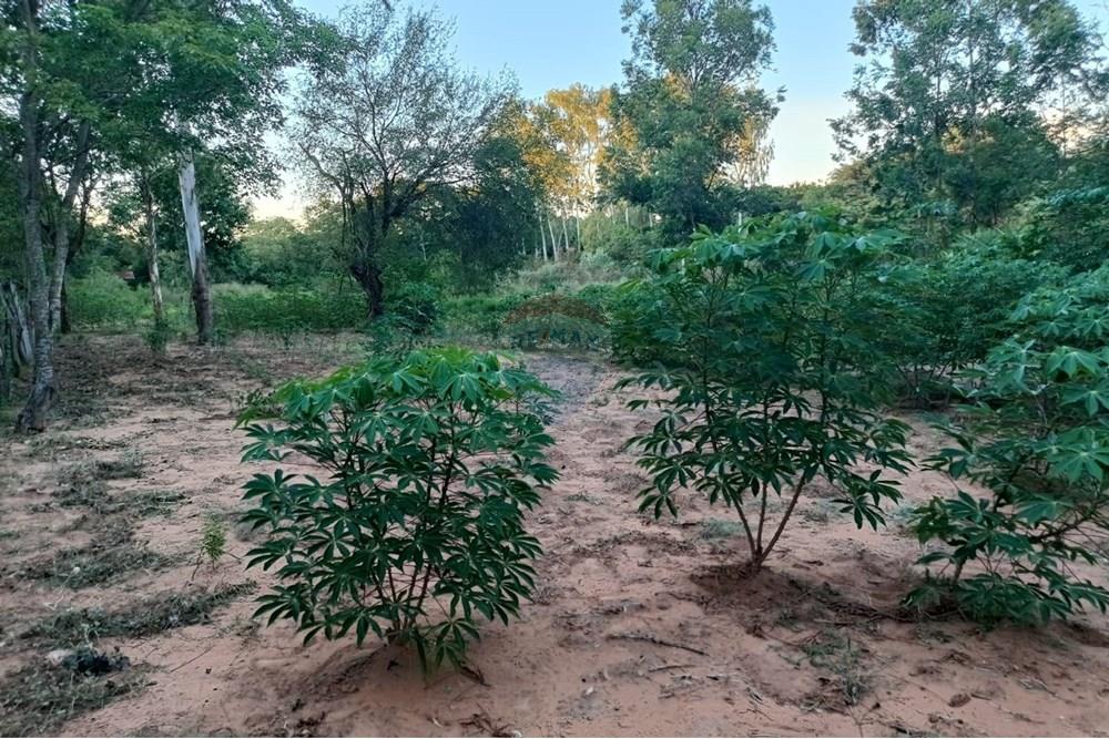 Terreno - Venta - Paraguay Central Aregua - WhatsApp Image 2025-02-07 at 9.06.05 AM (1).jpeg - 143095028-7