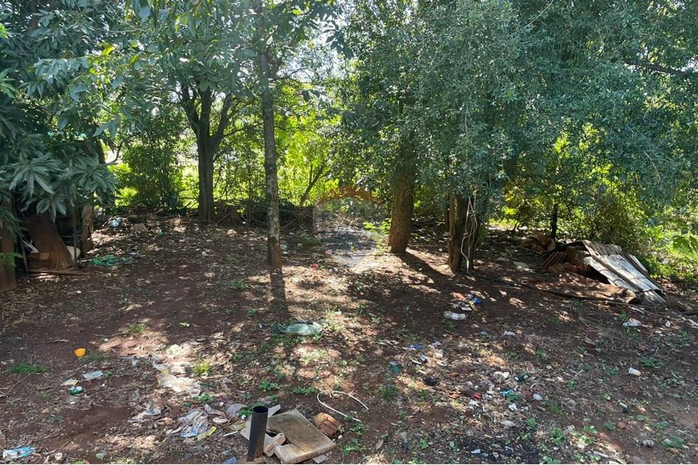 lakó - szabadonálló ház - Paraguay Itapúa Encarnación - PY - 143645c4-704c-4dec-8e22-31b446703379.jpg - 143080171-5