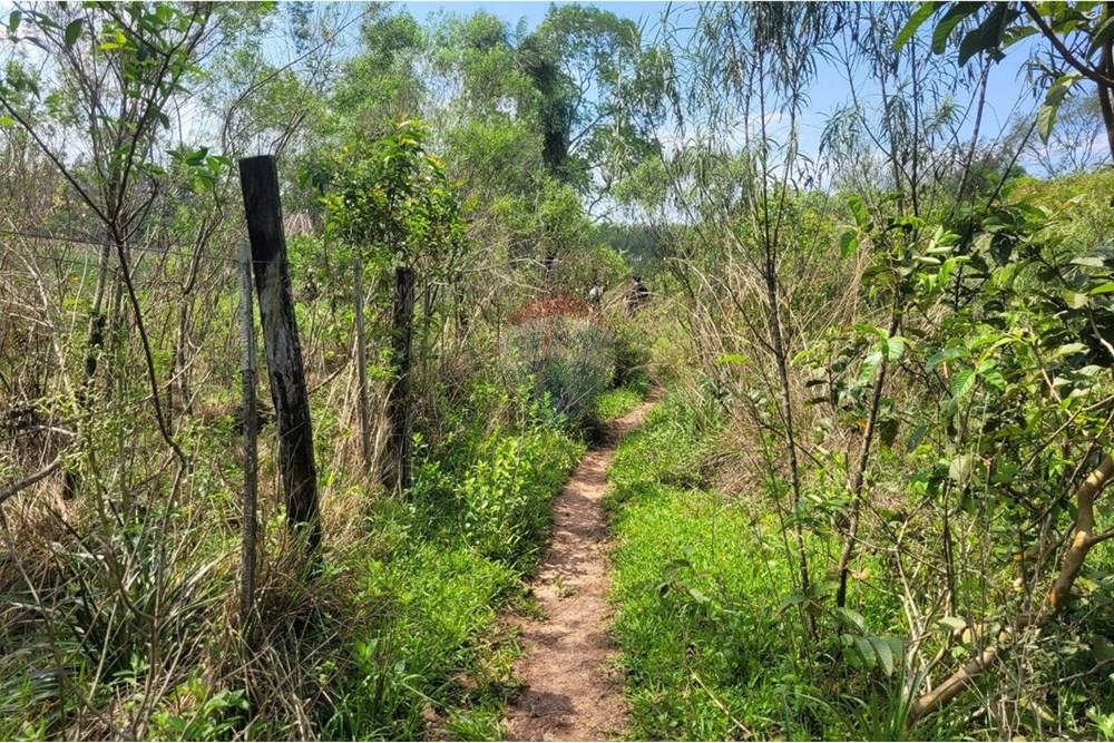 Finca Agrícola - Venta - Paraguay Caazapá San Juan Nepomuceno - 12.jpg - 143095004-90