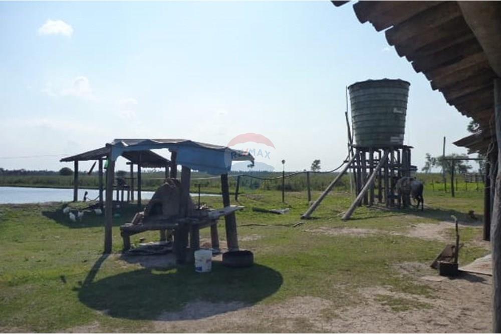 Επαγγελματικό - Φάρμα - Paraguay Presidente Hayes General José María Bruguéz - PY - WhatsApp Image 2025-03-24 at 15.05.00 (2).jpeg - 143063204-15