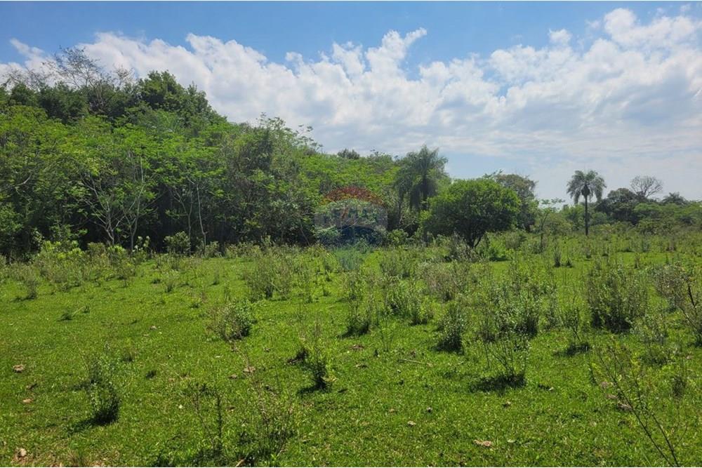 Finca Agrícola - Venta - Paraguay Caazapá San Juan Nepomuceno - 2.jpg - 143095004-90