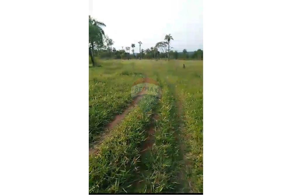 Commercial - Farm - Paraguay Paraguarí Ybycuí - PY - Foto 02.jpeg - 143050103-33