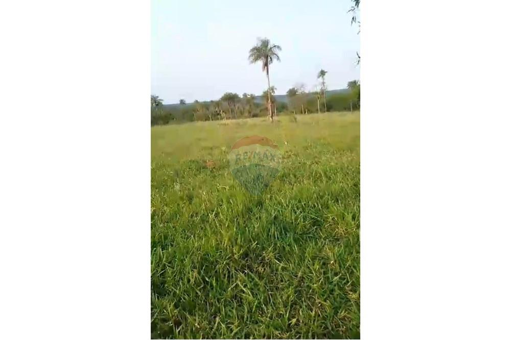 Commercial - Farm - Paraguay Paraguarí Ybycuí - PY - Foto 05.jpeg - 143050103-33