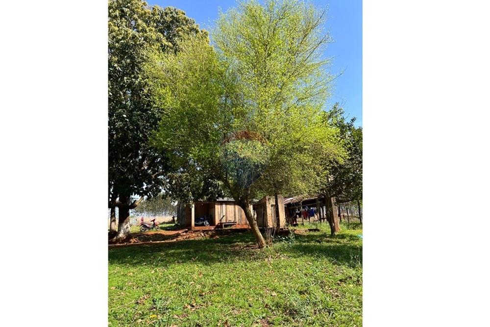 Commercial - Land - Paraguay Alto Paraná Hernandarias - PY - WhatsApp Image 2025-09-04 at 11.27.45 (1).jpeg - 143050002-227