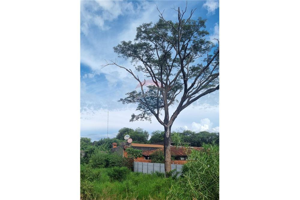 Residential - Земля/участок - Paraguay Itapúa Encarnación - PY - 7 - 143011004-227