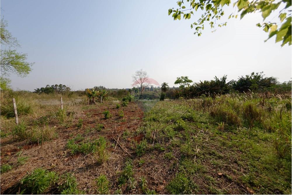 Residential - Land - Paraguay Alto Paraná Minga Guazú - PY - DSC_0164_DxO.jpg - 143050147-2